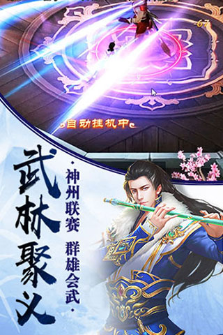 武林风云