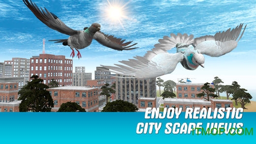 城市之鸽模拟3D破解版(City Bird Pigeon Simulator 3D)