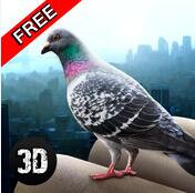 城市之鸽模拟3D破解版(City Bird Pigeon Simulator 3D)