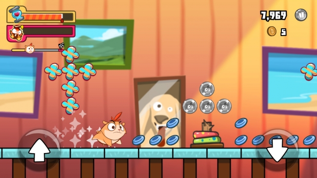 毛球大奔跑:混乱无限金币版