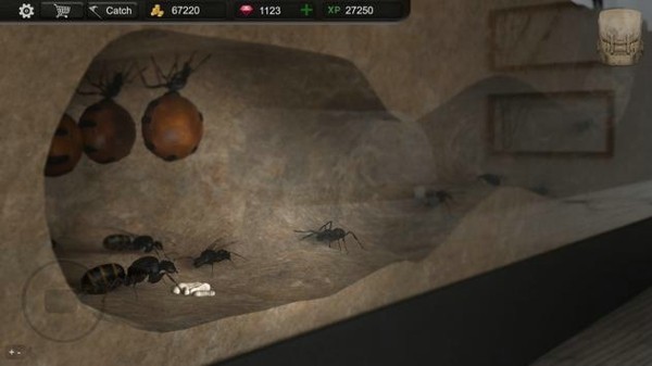 Ant Sim Tycoon安装器