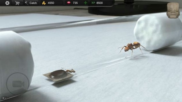 Ant Sim Tycoon安装器