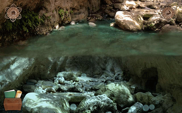 潘莫菲亚汉化版