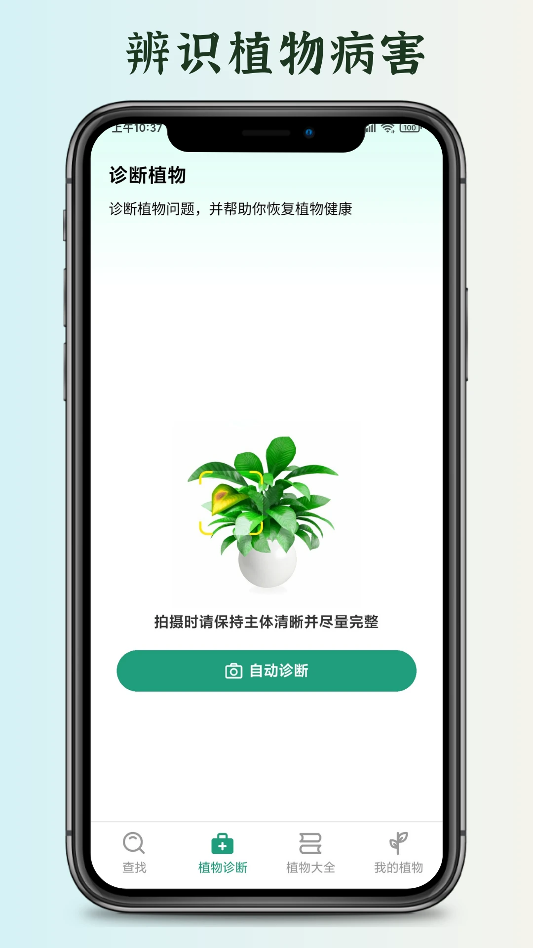 花草君