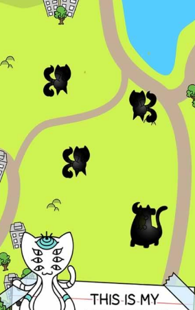 会进化的猫 会进化的猫