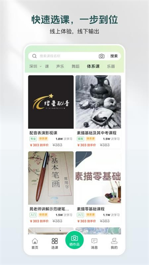 美鹦鹉 美鹦鹉
