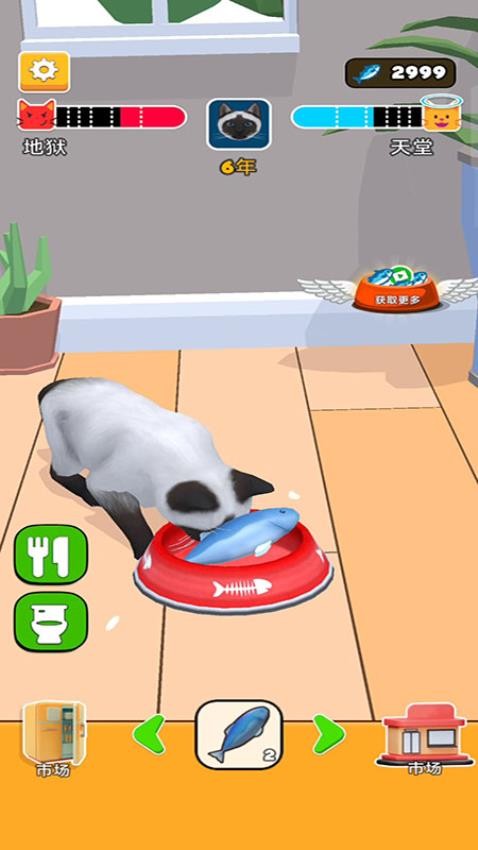 猫咪想恋爱