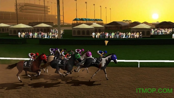赛马赢得杯赛挑战无限马蹄(Photo Finish Horse Racing)