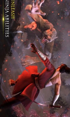 Takashi Ninja Warrior(忍者武士隆无限生命版)