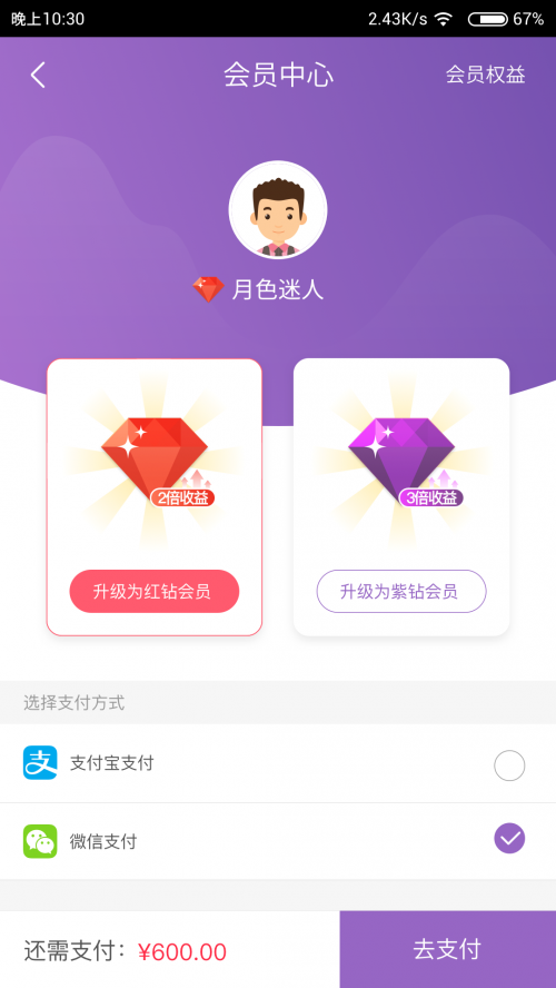 紫石榴