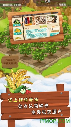 一乙农场