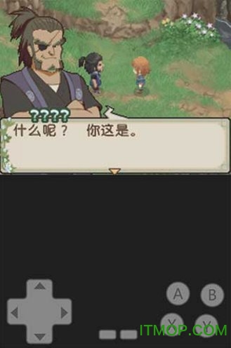 牧场物语双子村apk