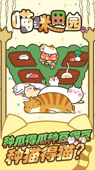猫咪的小院