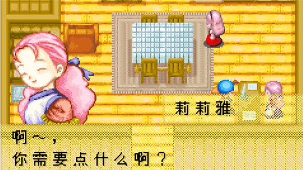 牧场物语：矿石镇的伙伴们