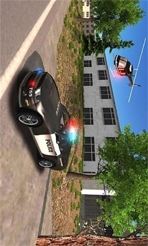 警车追逐者