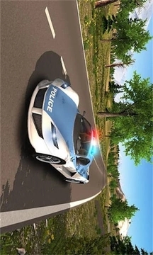 警车追逐者