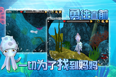 小墨鱼找妈妈