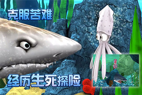 小墨鱼找妈妈