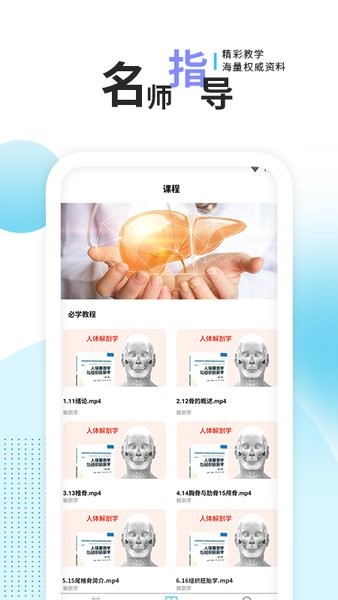 3D人体解剖图谱