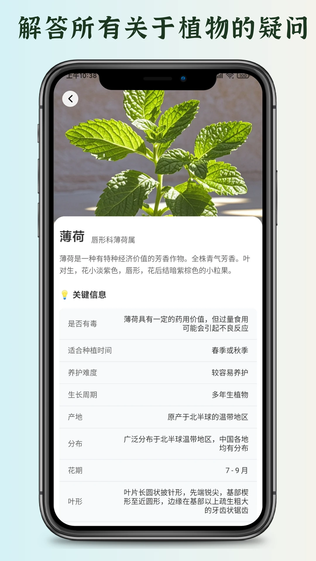 花草君