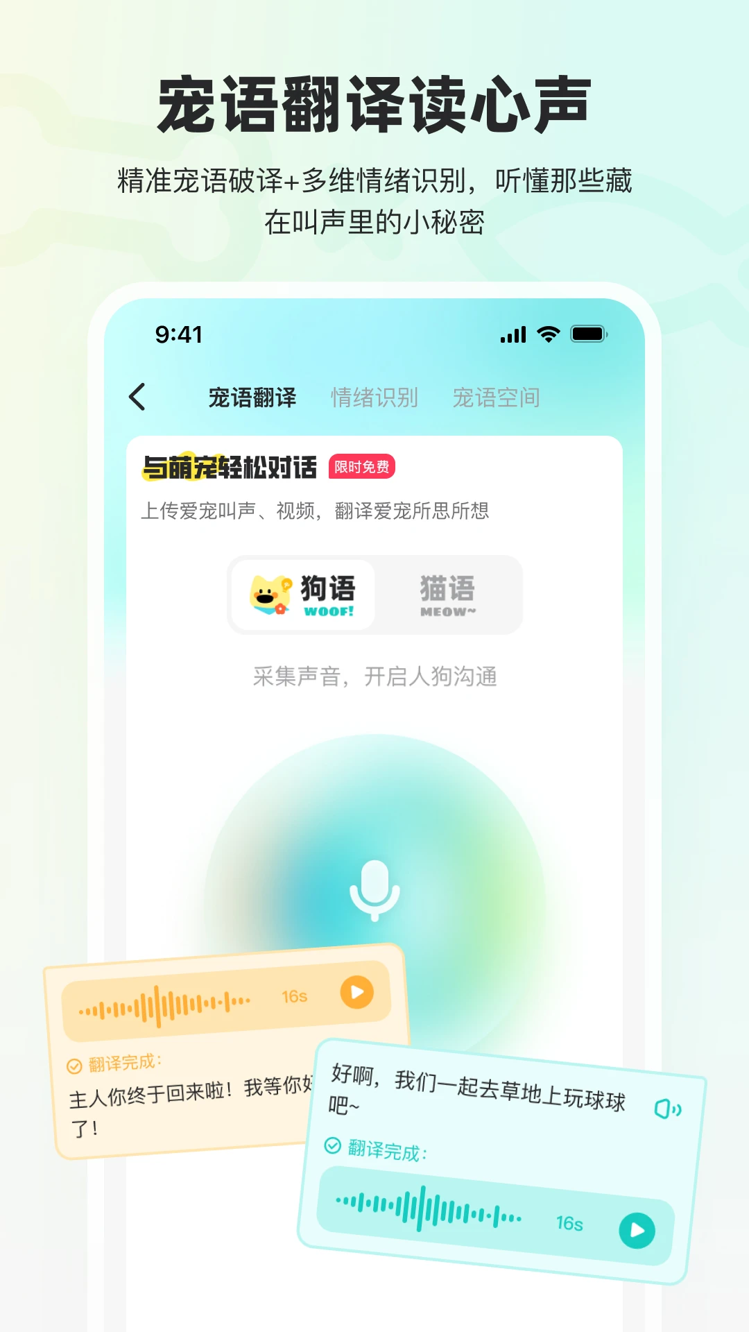 宠拍档 宠拍档