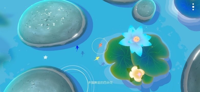 鯉 重制版 鯉 重制版