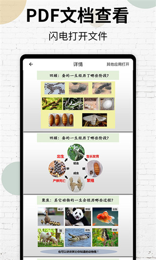 PDF阅读器 PDF阅读器