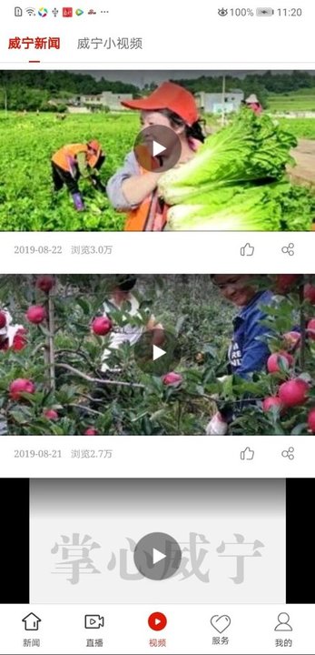 掌心六爻
