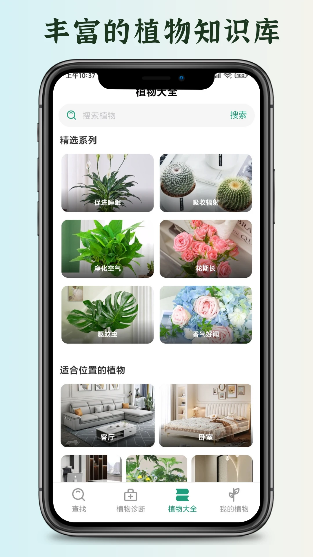 花草君
