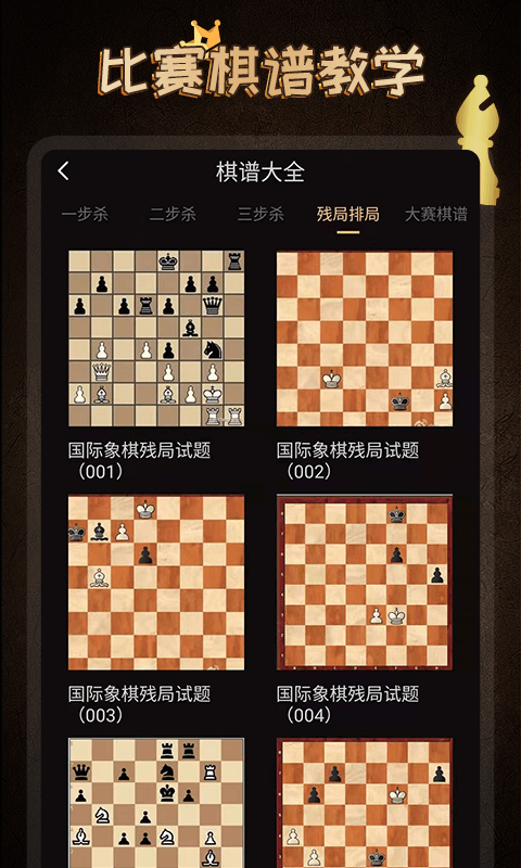 国际象棋大师 国际象棋大师