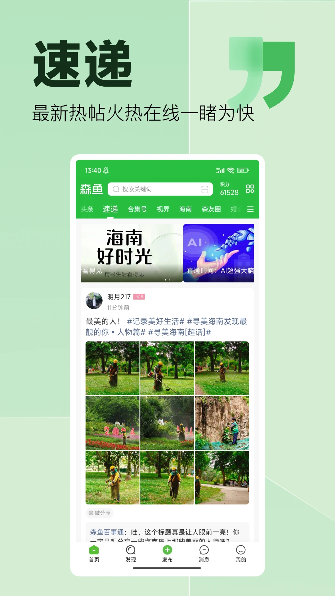 森鱼