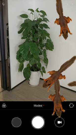 松鼠恶作剧app