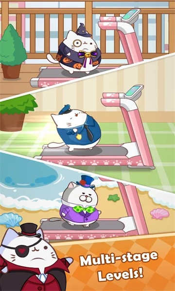 猫咪奔跑 猫咪奔跑