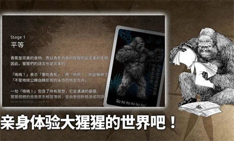 大猩猩接龙 大猩猩接龙