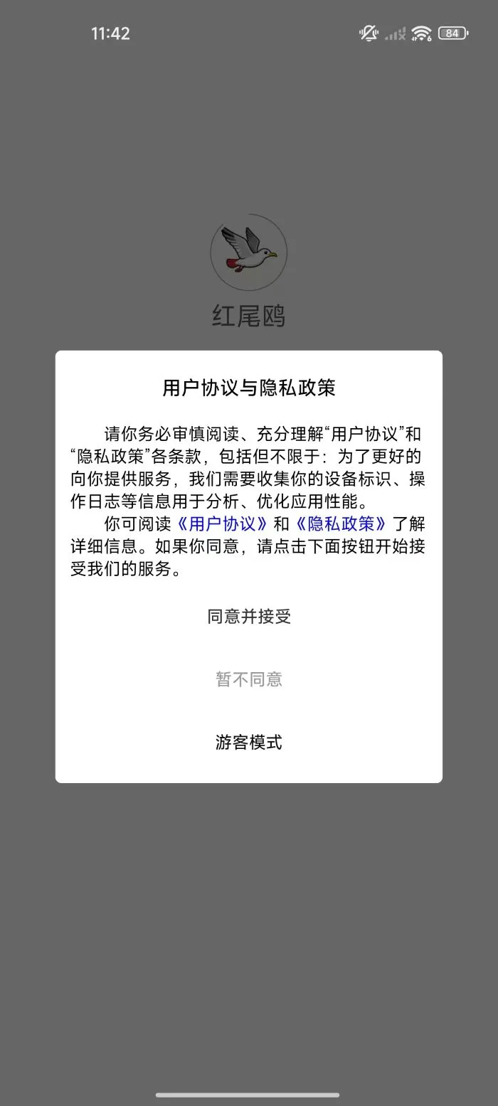 红尾鸥