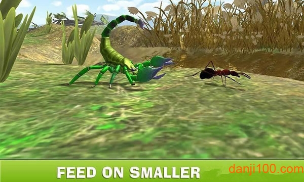 蝎子生存模拟器