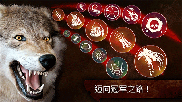 The Wolf安装器