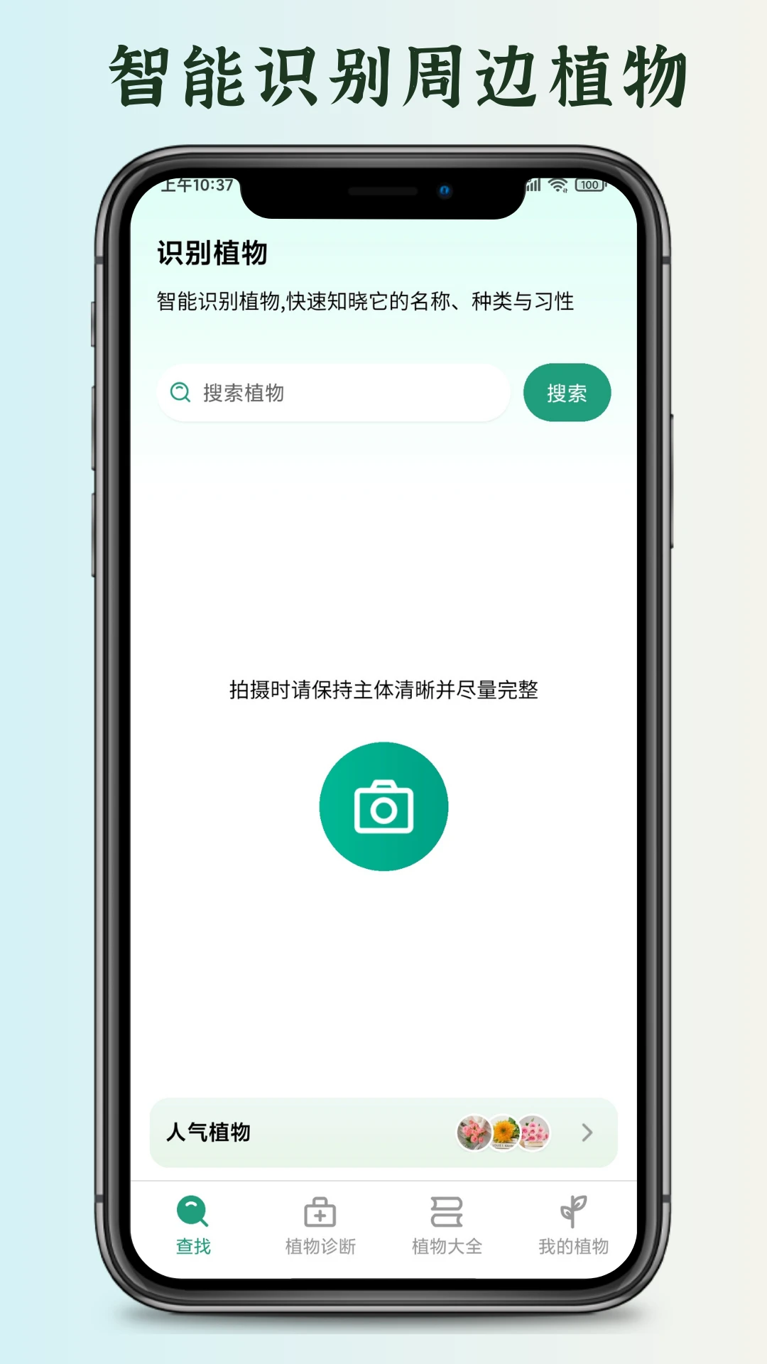花草君