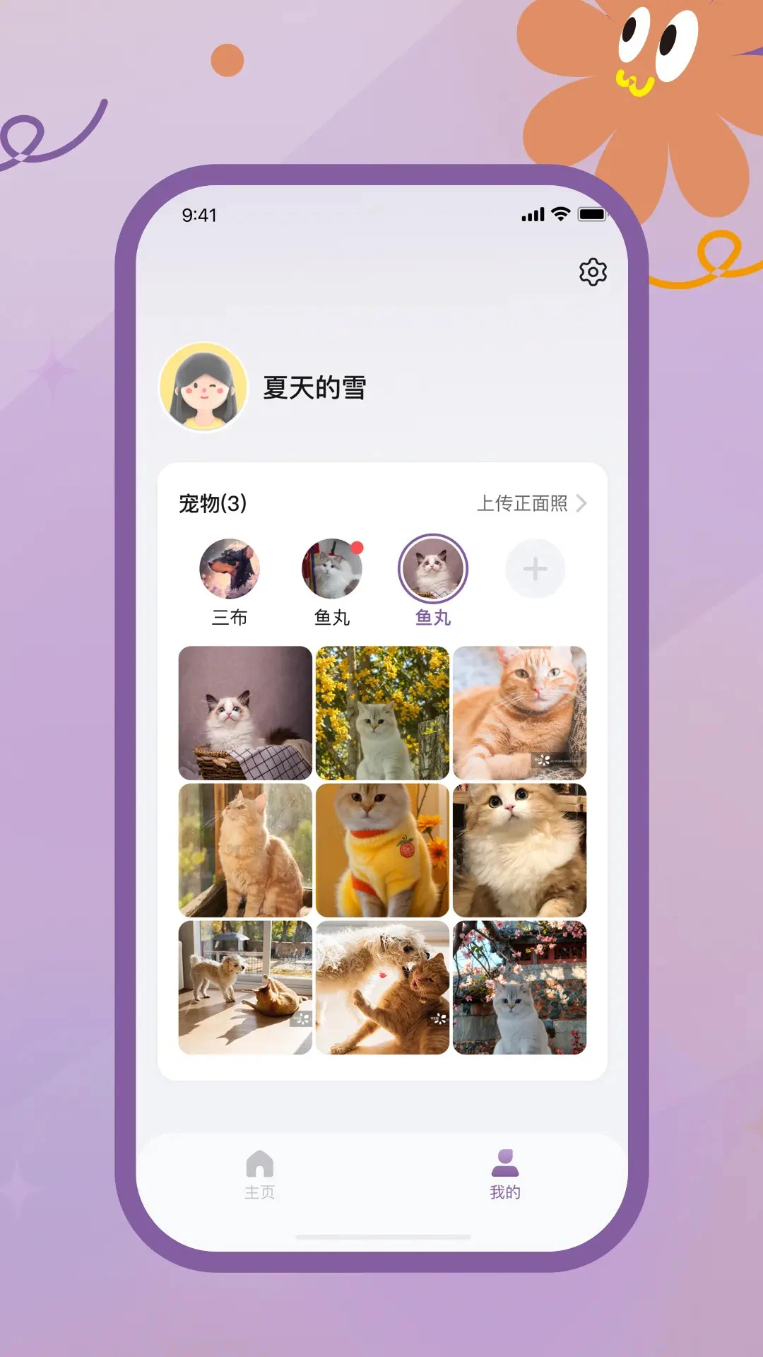 趴趴爪宠物