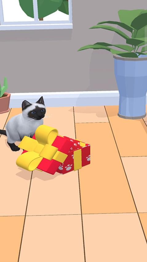 猫咪想恋爱